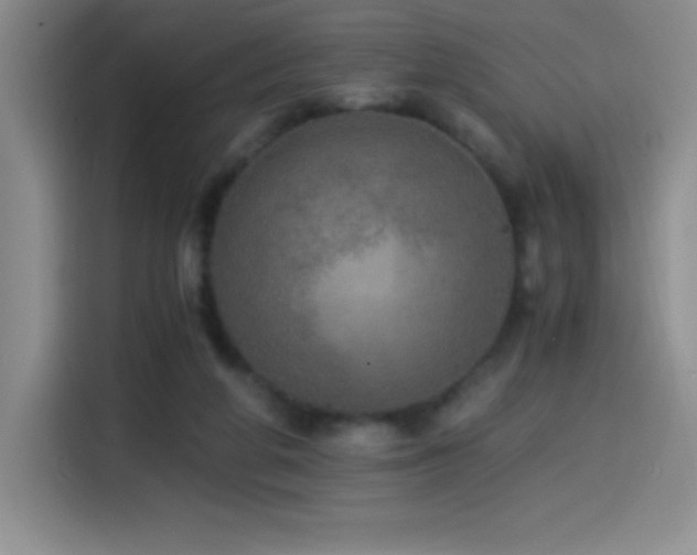 X0000114500210200910191257