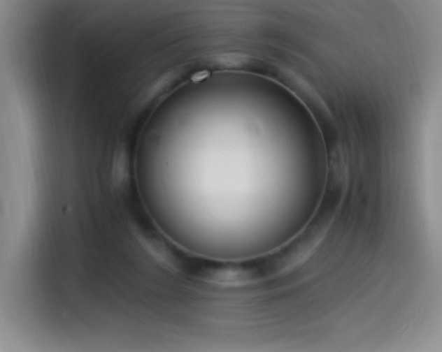 X0000114500212200910191257