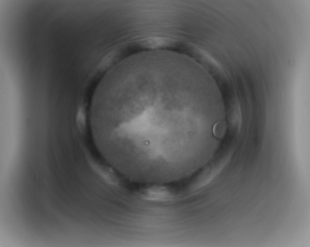 X0000114500214200910191257