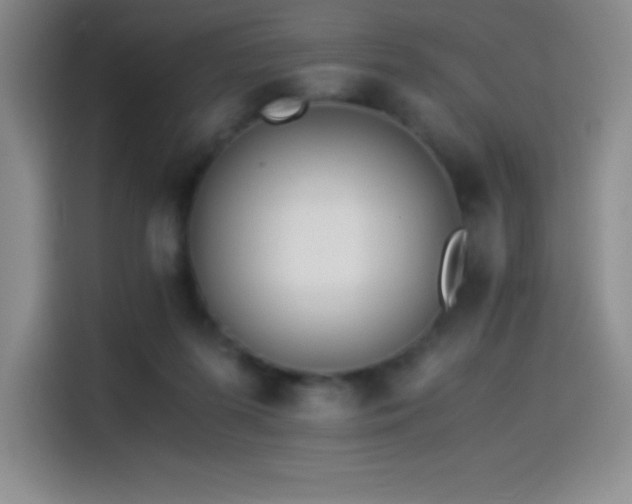 X0000114500215200910191257