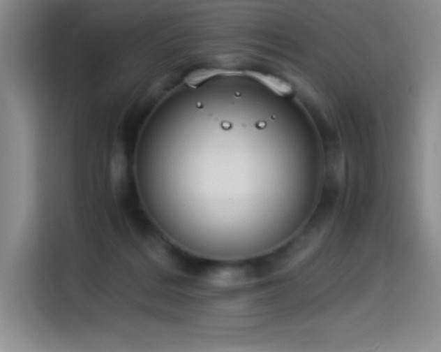 X0000114500220200910191257