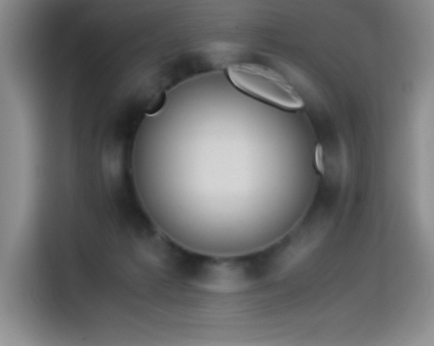 X0000114500221200910191257