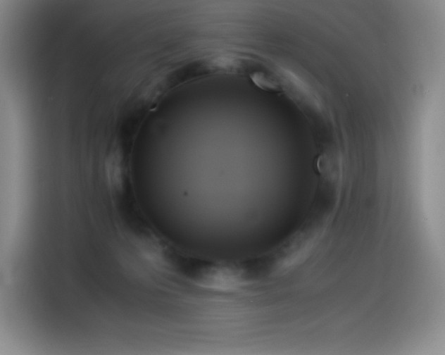 X0000114500223200910191257