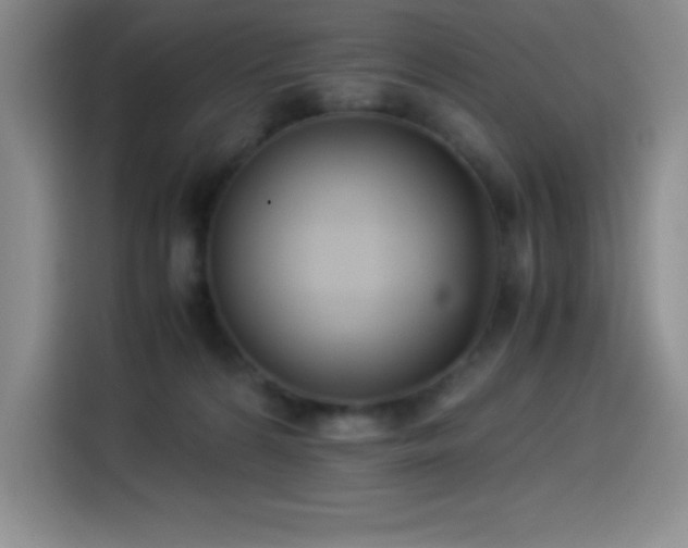 X0000114500224200910191257