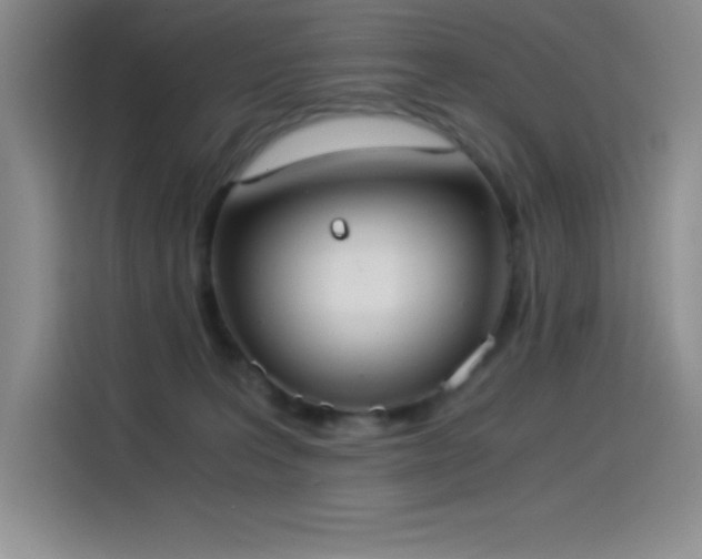 X0000114500227200910191257