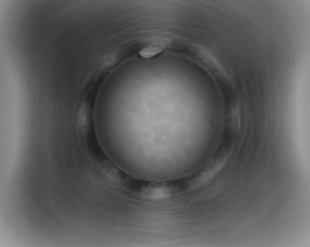 X0000114500228200910191257