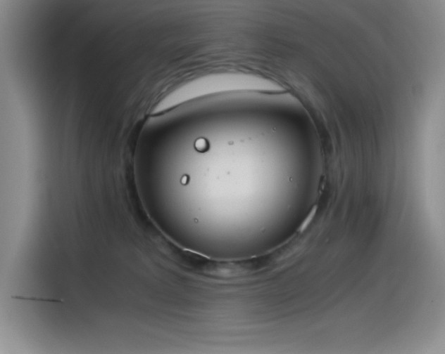 X0000114500229200910191257