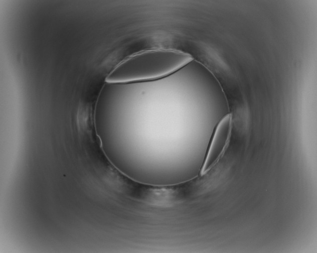 X0000114500233200910191257