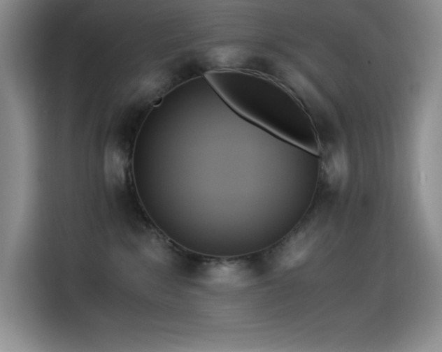 X0000114500235200910191257
