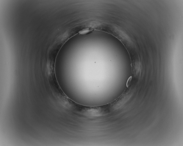 X0000114500236200910191257