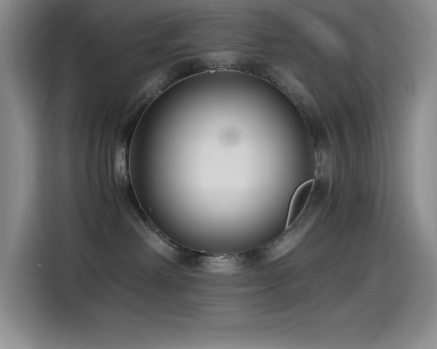 X0000114500238200910191257