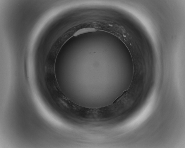 X0000114500239200910191257