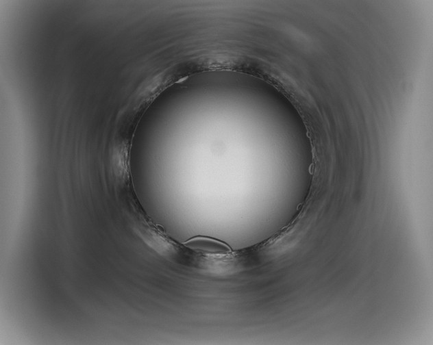 X0000114500240200910191257
