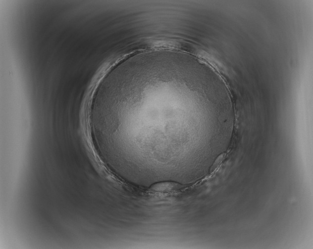 X0000114500241200910191256
