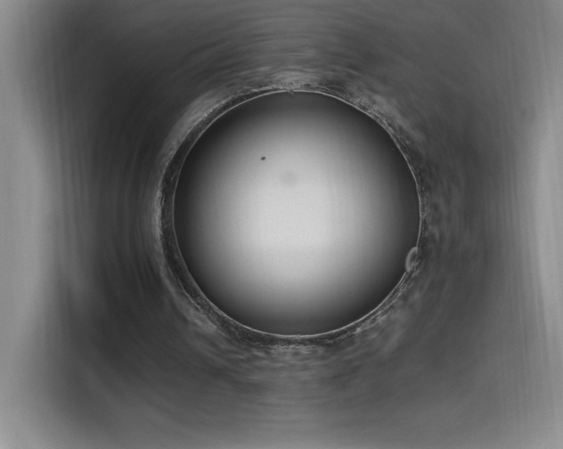 X0000114500242200910191256