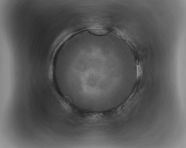 X0000114500243200910191256