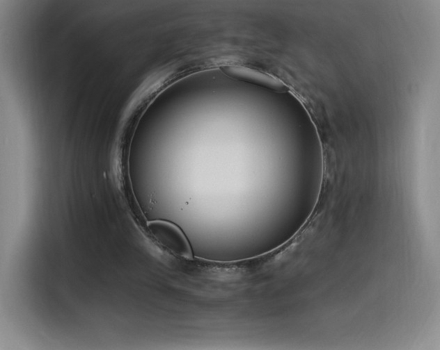 X0000114500245200910191256