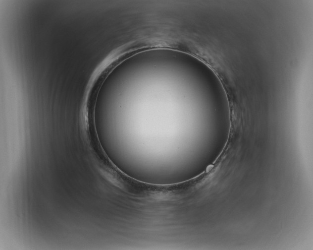 X0000114500246200910191256