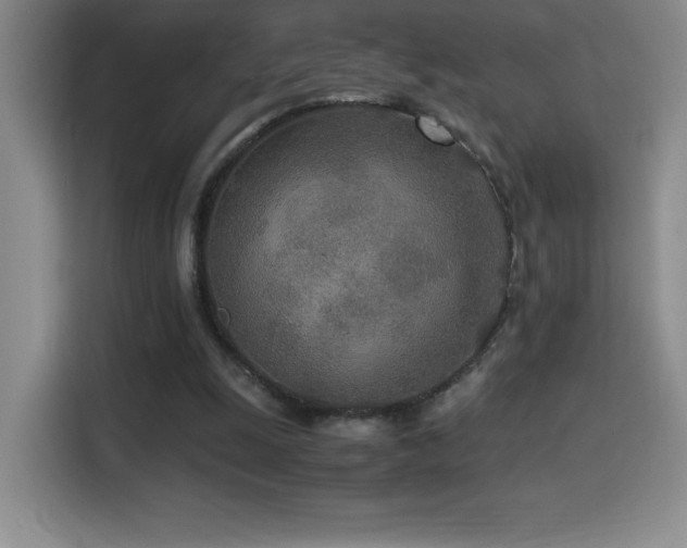 X0000114500247200910191256