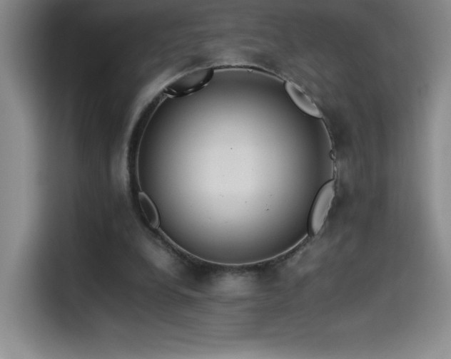 X0000114500248200910191256