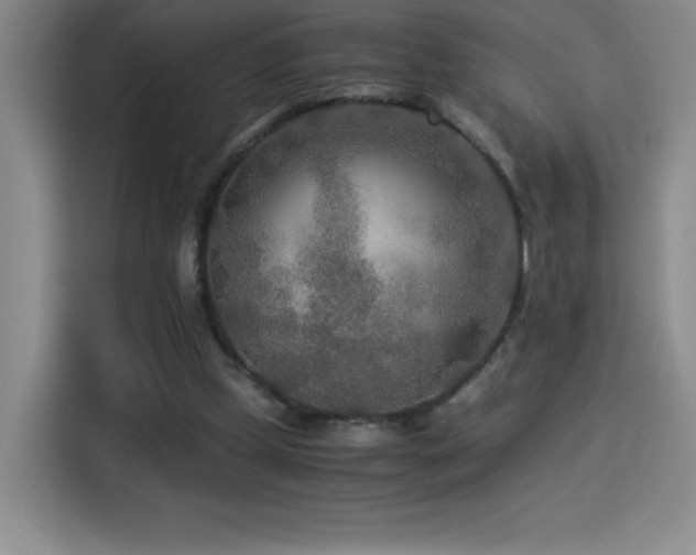 X0000114500249200910191256