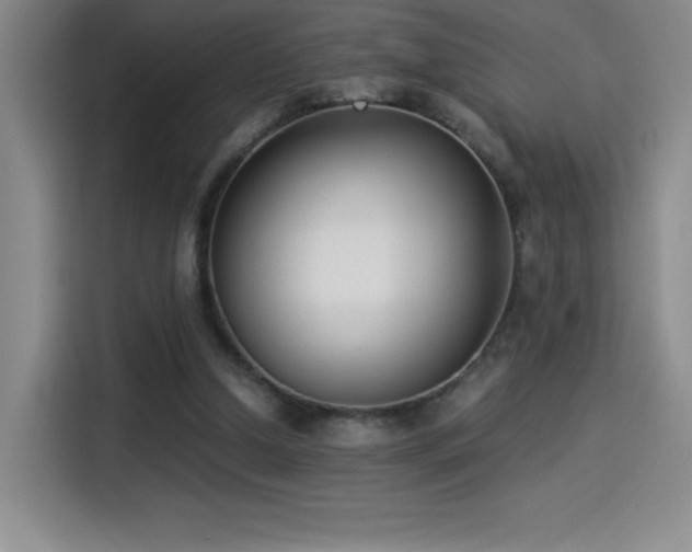 X0000114500250200910191256