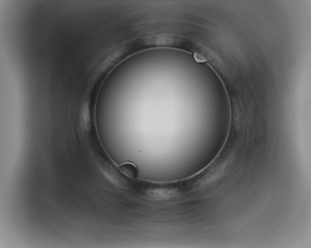 X0000114500251200910191256