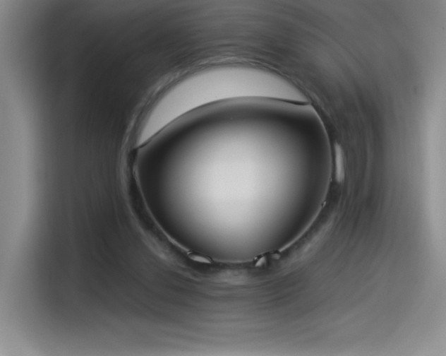 X0000114500252200910191256