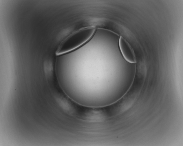 X0000114500260200910191257