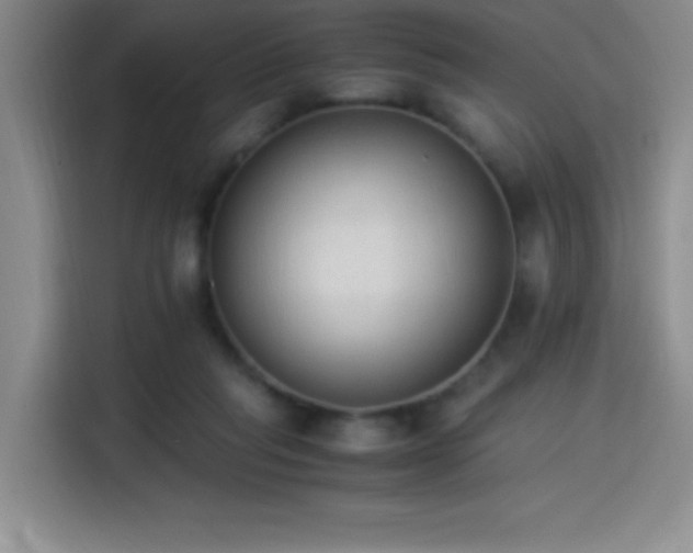 X0000114500261200910191257
