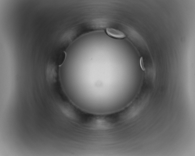 X0000114500264200910191257