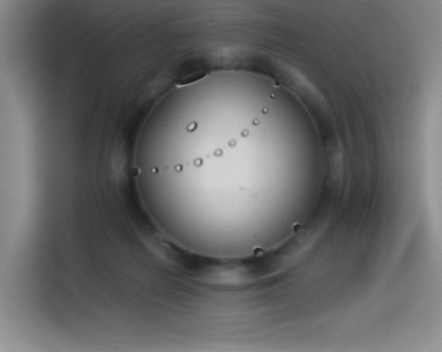 X0000114500266200910191257
