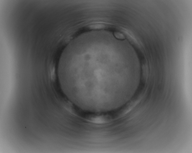X0000114500267200910191257