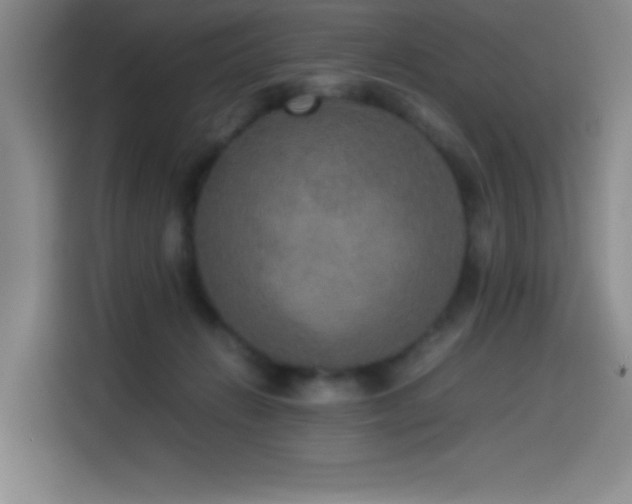 X0000114500270200910191257