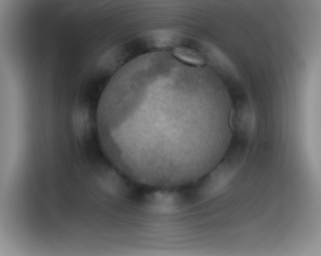 X0000114500272200910191257