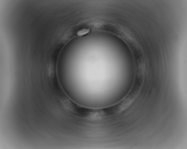 X0000114500274200910191257