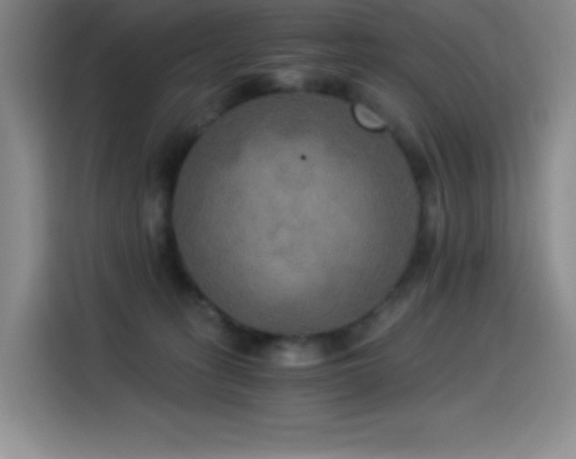 X0000114500275200910191257