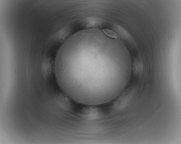 X0000114500276200910191257