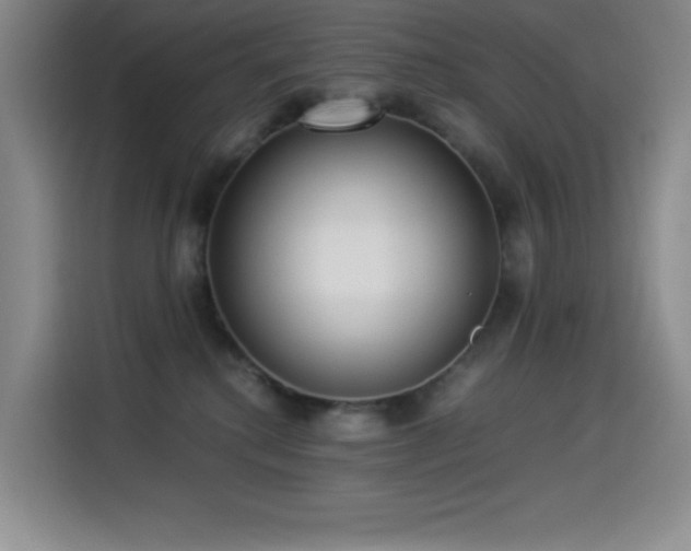 X0000114500280200910191257