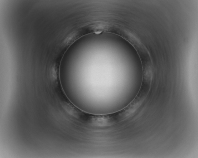 X0000114500282200910191257