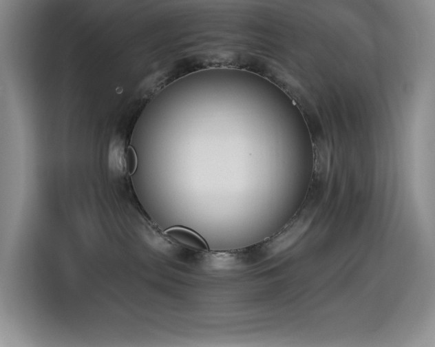 X0000114500287200910191257