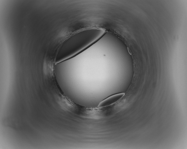 X0000114500288200910191257