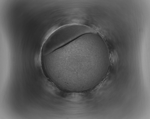 X0000114500292200910191256