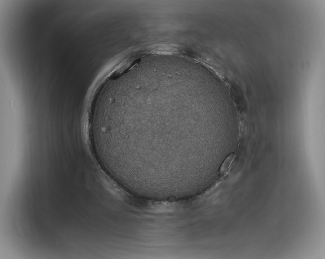 X0000114500293200910191256