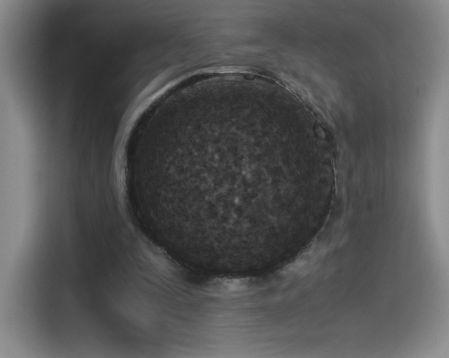 X0000114500295200910191256