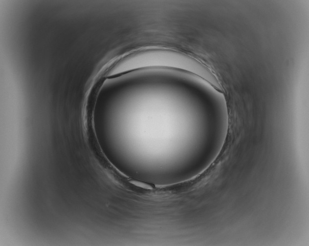 X0000114500296200910191256