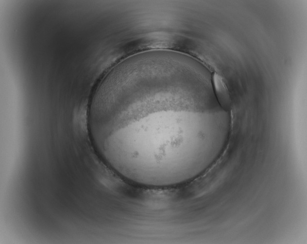 X0000114500297200910191256