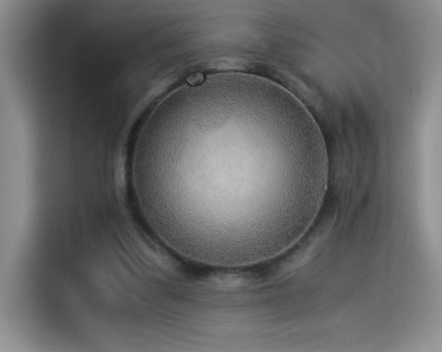 X0000114500299200910191256