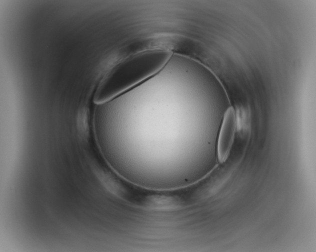 X0000114500300200910191256