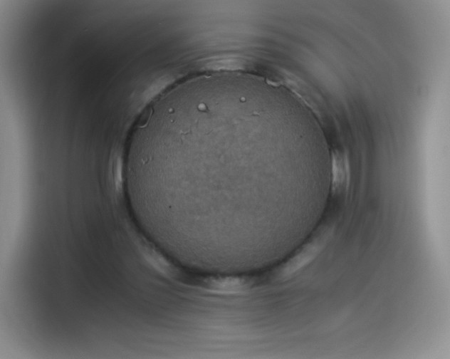 X0000114500301200910191256